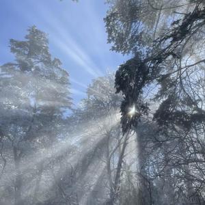 N老影视老人色情
