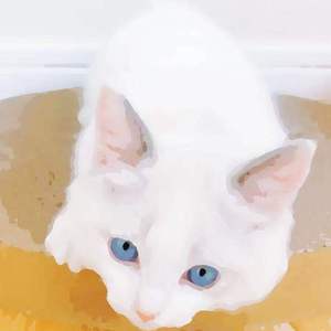 N老影视老人色情
