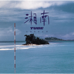 N老影视老人色情
